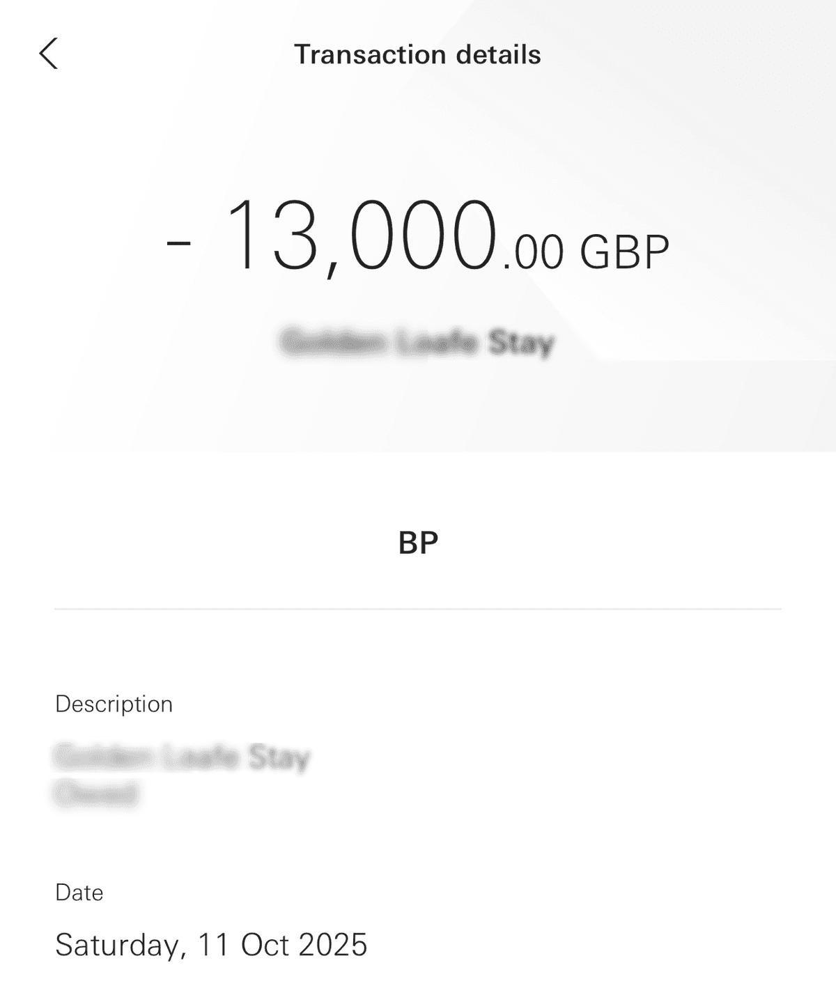 Payment screenshot 1